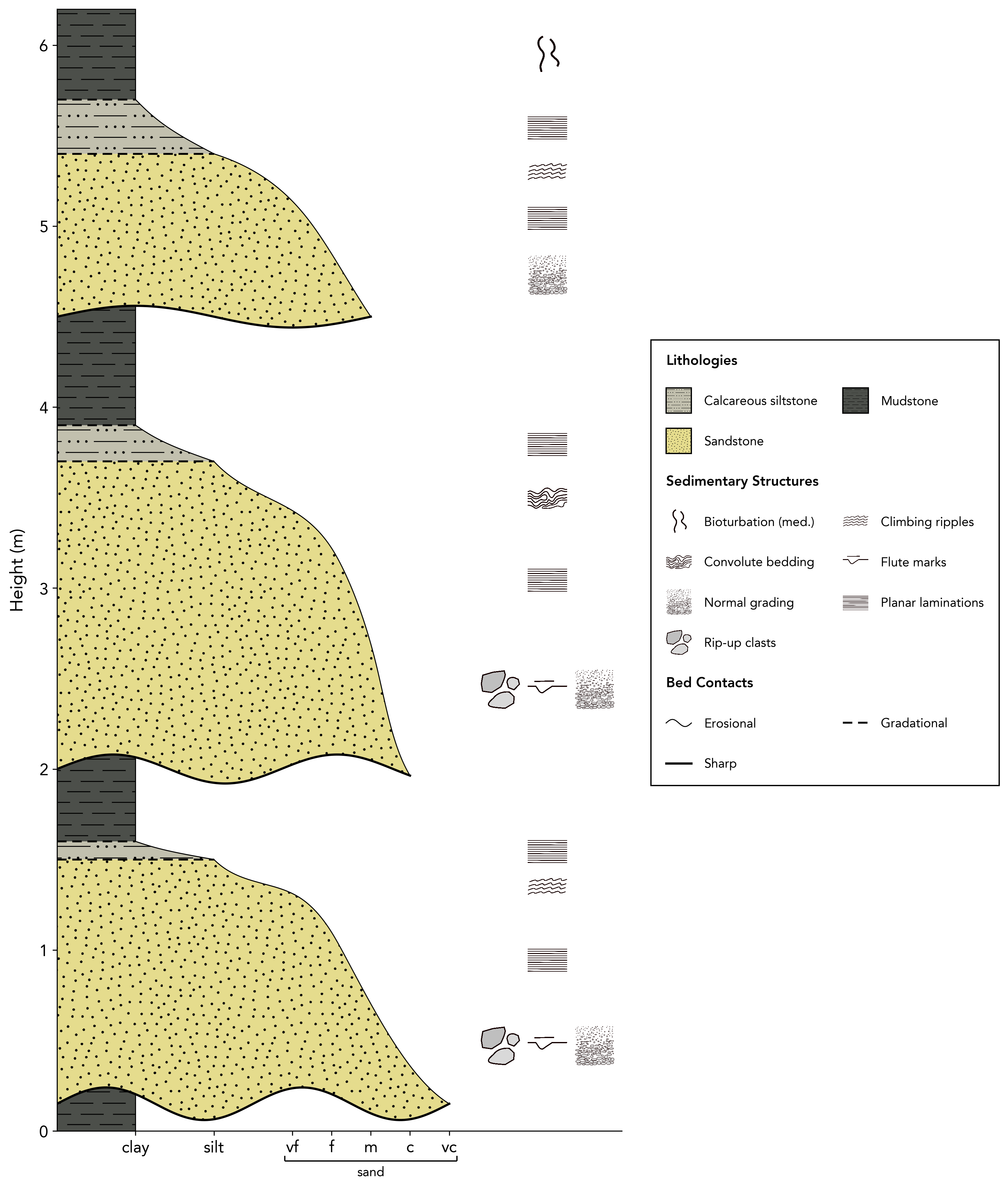 Bouma sequence log